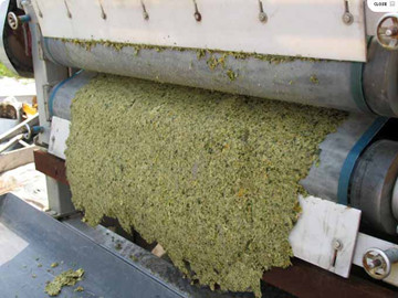 帶式壓濾機中間壓慮泥干而兩邊泥稀怎么回事?